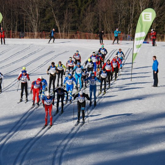 Wr. Landesmeisterschaft 2018